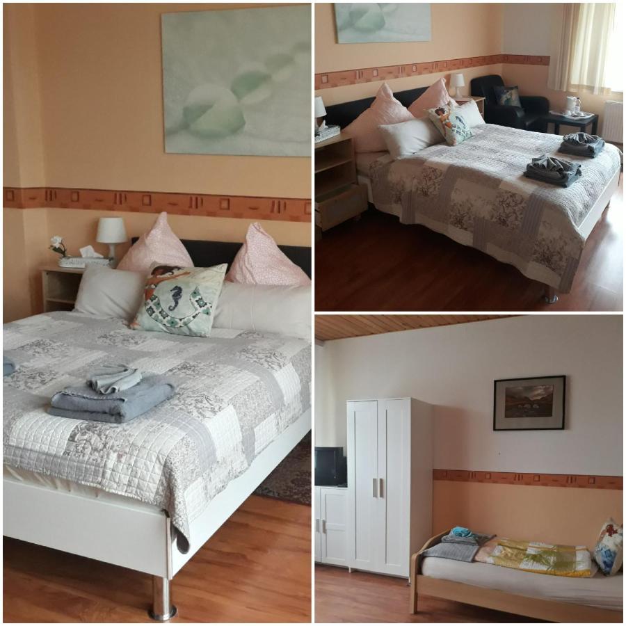 Pension Elli Kroessner Hartmannsdorf bei Chemnitz Экстерьер фото