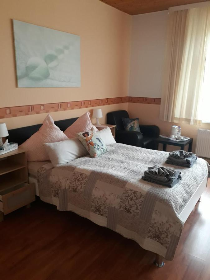 Pension Elli Kroessner Hartmannsdorf bei Chemnitz Экстерьер фото