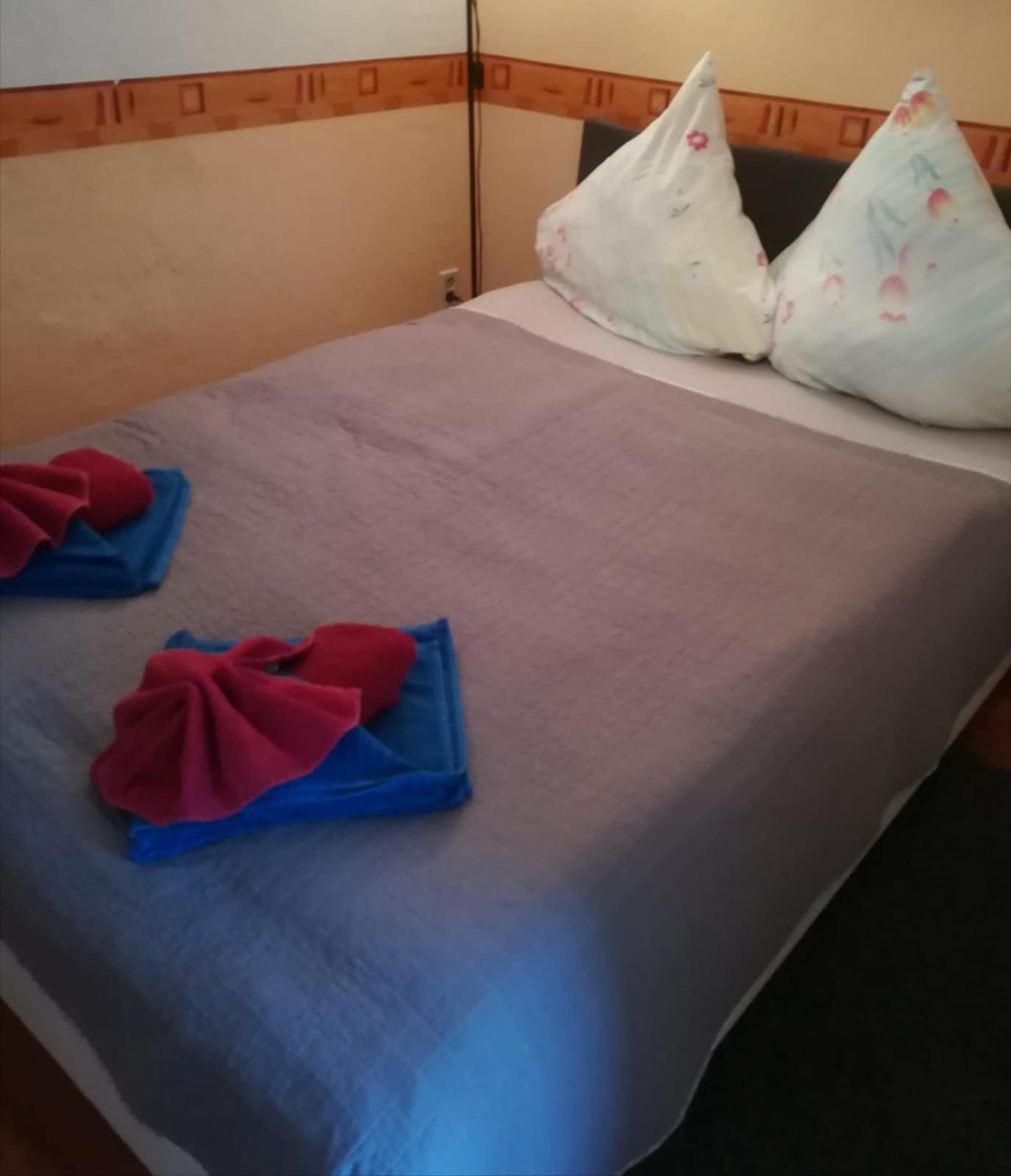 Pension Elli Kroessner Hartmannsdorf bei Chemnitz Экстерьер фото